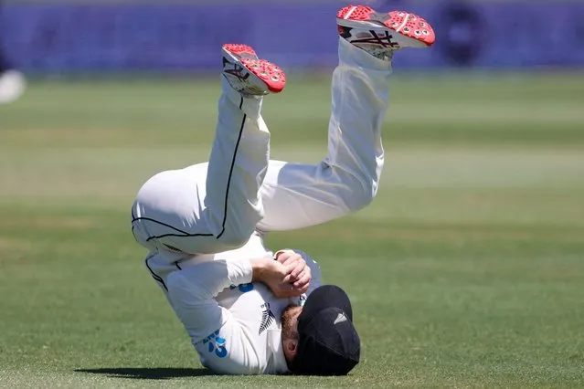 New Zealand’s Kane Williamson takes a catch to dismiss South Africa’s Keegan Petersen during day three of the first cricket test match between New Zealand and South Africa at the Bay Oval in Mount Maunganui on February 6, 2024. (Photo by Michael Bradley/AFP Photo)