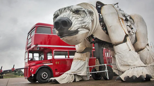 Giant Polar Bear Of London