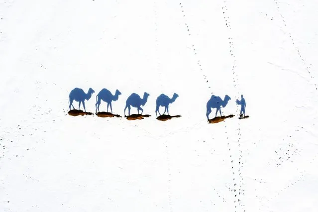 An aerial view of a snow-covered landmass as camels walk in Turkiye's Van on February 21, 2024.Camels raised in Baskale district for camel wrestling pass through the area where the meanders are located in Konuksayar District. (Photo by Ozkan Bilgin/Anadolu via Getty Images)
