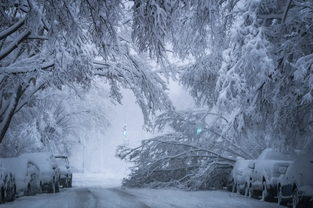 The Day in Photos – January 4, 2022