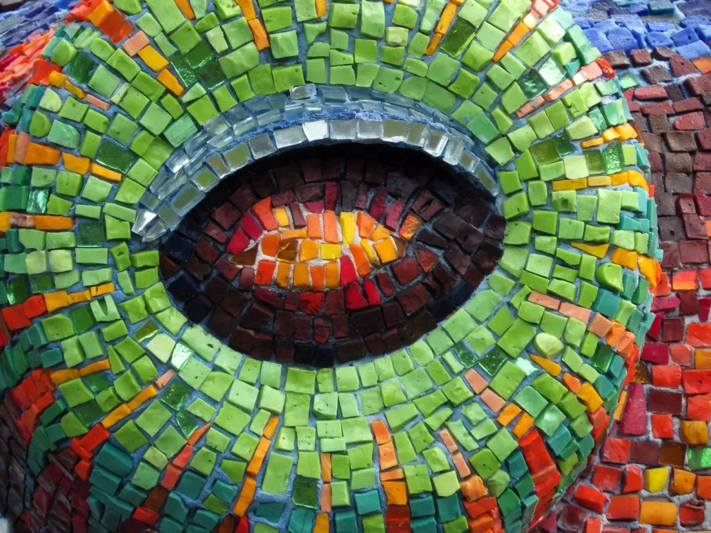 Octopus by Marialuisa Tadei