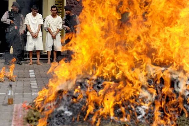 Indonesian police burn a pile of seized marijuana as the two suspects (in white) watch on, during a ceremony in Banda Aceh on March 31, 2017. A total of 800 kg of marijuana were destroyed with a street value of 180,000 USD, according to the police in Aceh. (Photo by Chaideer Mahyuddin/AFP Photo)