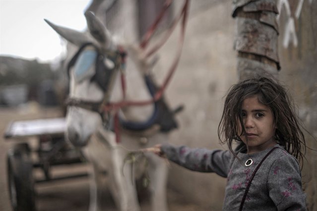 A Palestinian girl feeds a donkey on a rainy day in Khan Younis, in the southern Gaza Strip on January 19, 2022. (Photo by Mahmud Hams/AFP Photo)