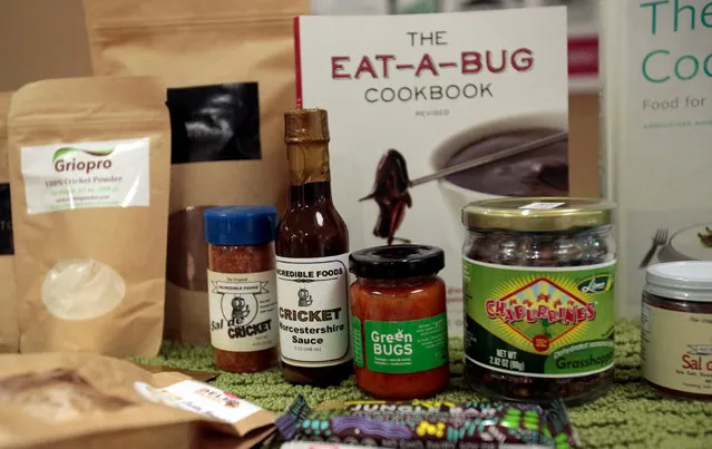 Food products made with insects in the ingredients are displayed during the “Eating Insects Detroit: Exploring the Culture of Insects as Food and Feed” conference at Wayne State University in Detroit, Michigan May 26, 2016. (Photo by Rebecca Cook/Reuters)