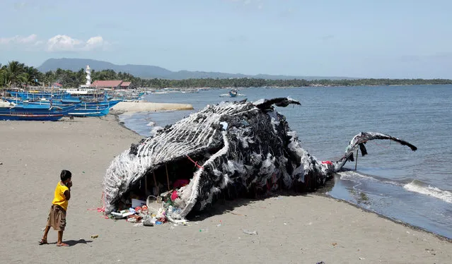 A boy looks at a whale shaped art installation that is made of plastic and trash made by environmental activist group Greenpeace Philippines, lying along the shore in Naic, Cavite, in the Philippines on May 12, 2017. (Photo by Erik De Castro/Reuters)