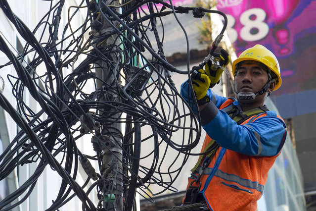 A technician performs maintenance on power lines in Jakarta, Indonesia, Wednesday, August 14, 2024. (Photo by Tatan Syuflana/AP Photo)