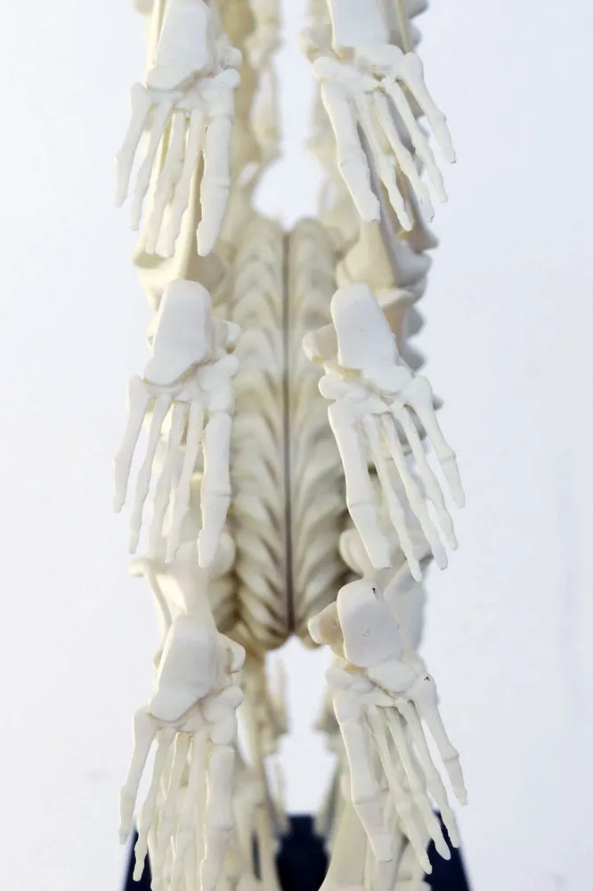 3D Prints the Wheel of Llife Skeletal by Monika Horcicova