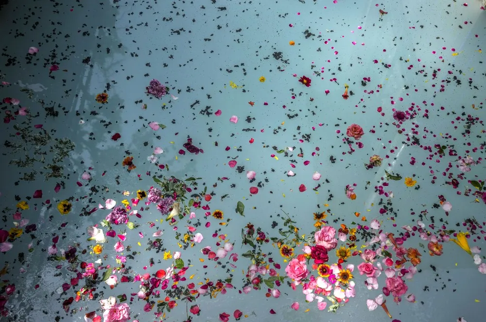 The Day in Photos – June 9, 2022