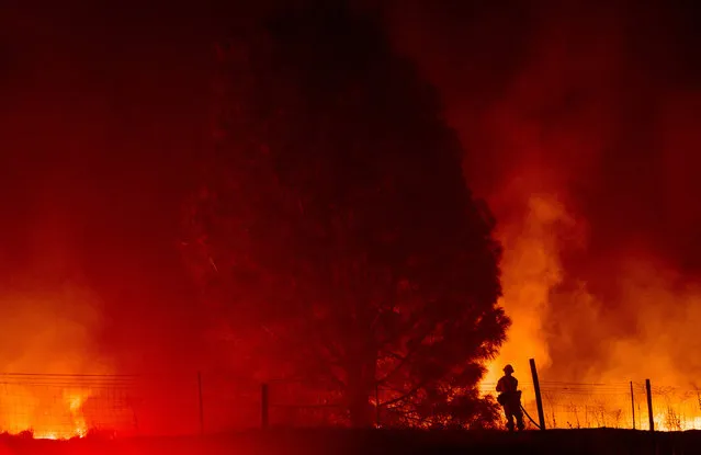 TOPSHOT - A firefighter sprays down flames as the Detwiler fire rages on, near the town of Mariposa, California on July 18, 2017. California has suffered widespread fires in recent days, with a lighting strike near Yosemite National Park sparking a blaze that destroyed more than 26 square kilometers (10 square miles) of forest. (Photo by Josh Edelson/AFP Photo)
