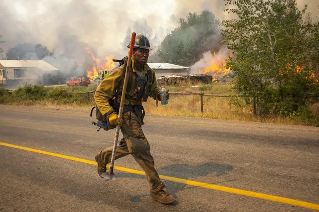 A firefighters flees as the Twisp River fire advances unexpectedly near Twisp, Washington August 20, 2015. (Photo by David Ryder/Reuters)