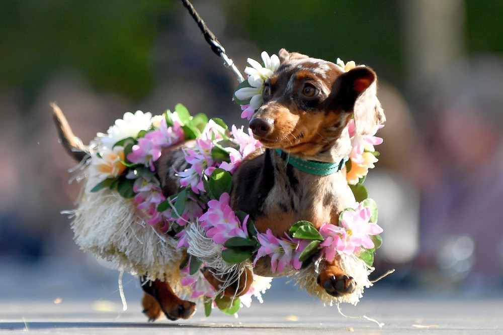 Pictures of the Year 2023, Part 166/224