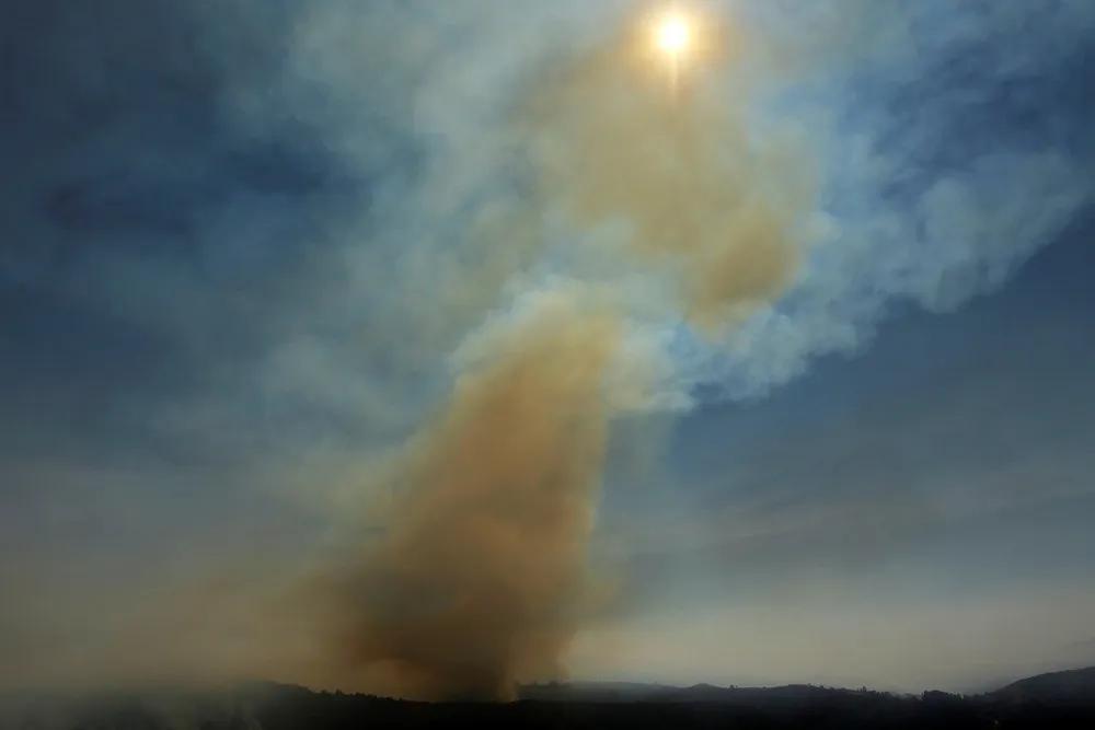 The Day in Photos – July 31, 2016