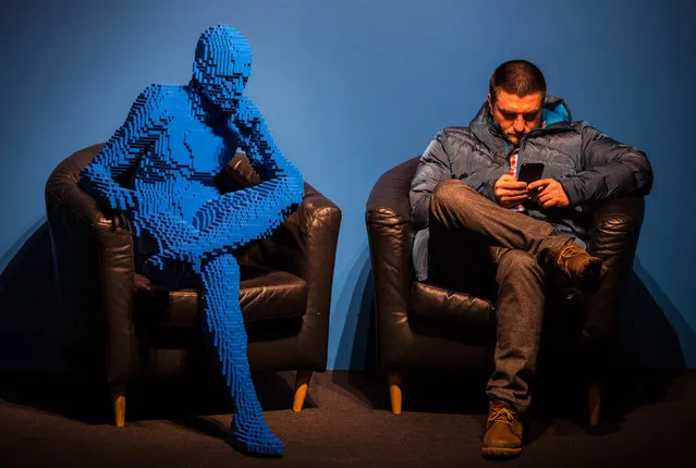 A visitor seats next to the artwork “Blu guy seating” made from 21,682 bricks of LEGO by US artist Nathan Sawaya displayed at the exhibition “The Art Of LEGO” in Moscow, Russia, 22 February 2017. For the first time in Russia, 85 of Sawaya artworks made from millions of Lego bricks, will be on display at the “The Art Of LEGO”, which runs from 22 February in the Expocentre in Moscow. (Photo by Ergei Ilnitsky/EPA)