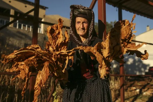 Ayse Gunduzalp, 75, holds dried tobacco leaves during the harvest season in Kurudere village, Adiyaman province, southeast Turkey, Tuesday, September 27, 2022. Official data released Monday Oct. 3, 2022 shows consumer prices rise 83.45% from a year earlier, further hitting households already facing high energy, food and housing costs. Experts say the real rate of inflation is much higher than official statistics, at an eye-watering 186%. (Photo by Emrah Gurel/AP Photo)