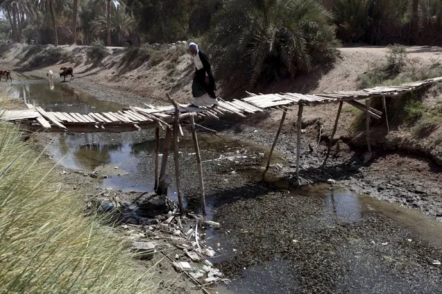 A man walks on a makeshift wooden bridge as he crosses sewerage in Najaf, September 21, 2015. Iraqi Prime Minister Haider al-Abadi ordered daily water tests and other measures on Saturday to contain an outbreak of cholera that has killed at least six people in Baghdad's western outskirts. The deaths were in the town of Abu Ghraib, about 25 km (15 miles) west of the capital, hospital sources said. At least 70 other cases were diagnosed in the area. (Photo by Alaa Al-Marjani/Reuters)