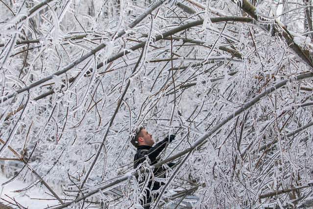 Sgt. Tyler Midyett of the Emmet County Sheriff's Department works along with Sgt. Mitch Wallin, not pictured, to clear fallen trees from along Eppler Road in Petoskey, Mich., Tuesday, April 1, 2025, as cleanup from the weekend's ice storm continues. ((Photo by Jan-Michael Stump/Traverse City Record-Eagle via AP Photo)
