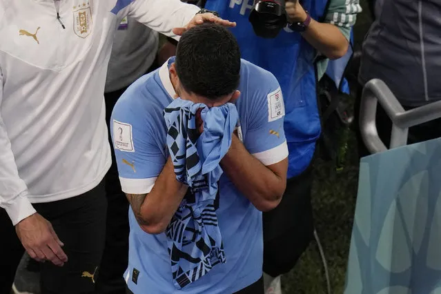 Uruguay's Luis Suarez cries at the end of the World Cup group H soccer match between Ghana and Uruguay, at the Al Janoub Stadium in Al Wakrah, Qatar, Friday, December 2, 2022. (Photo by Aijaz Rahi/AP Photo)