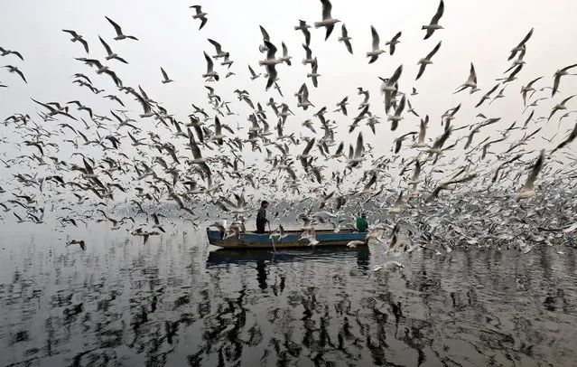 Men feed seagulls along the Yamuna river on a smoggy morning in New Delhi, India, November 17, 2017. (Photo by Saumya Khandelwal/Reuters)