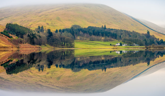 Still weather in Scotland led to calm on Loch of the Lowes near Perth on April 3, 2025. The loch is a nature reserve where ospreys, beavers and red squirrels can be seen. (Photo by Phil Wilkinson)