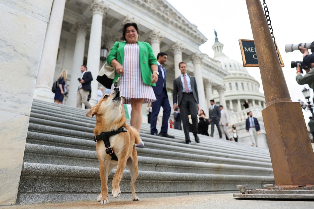 USA last Week, Part 2/2