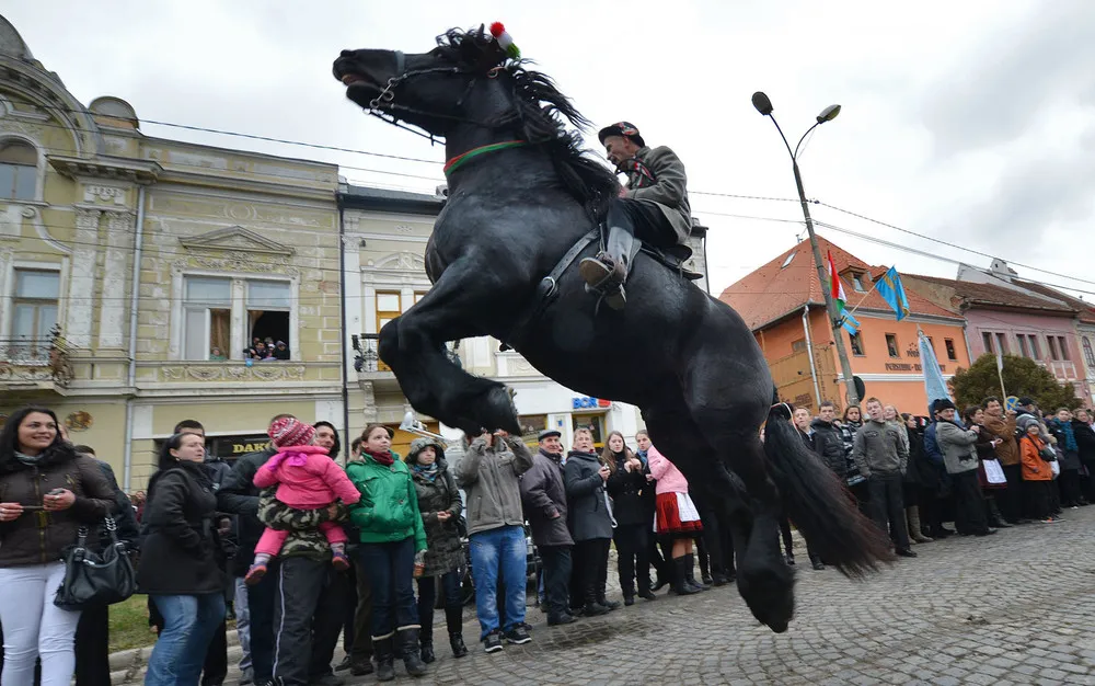 The Week in Pictures: Animals, March 10 – March 15 2013