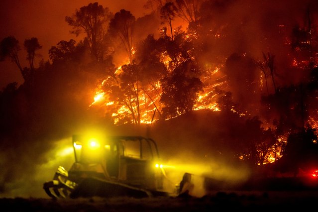 A bulldozer clears vegetation as the Pickett Fire approaches in the Aetna Springs area of Napa County, Calif., on Saturday, August 23, 2025. (Photo by Noah Berger/AP Photo)