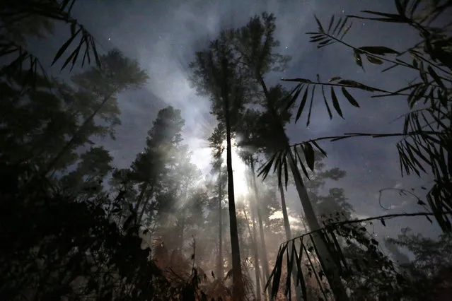 Moonlight shines through smoke and haze as a fire burns a pine forest in Lembah Seulawah village, Aceh Besar, Indonesia 13 October 2016. Hundreds of hectares of pine forests were destroyed by fire set to clear new land for plantations in the region. The clearing of plantations using fire is a common practice used by locals, although local authorities categorize the action as an illegal act that may damage forests. (Photo by Hotli Simanjuntak/EPA)