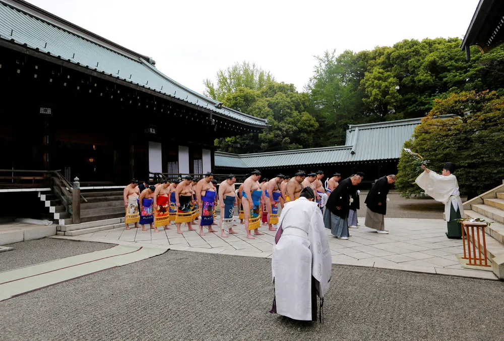 Spring Festival Sumo Tournament in Tokyo