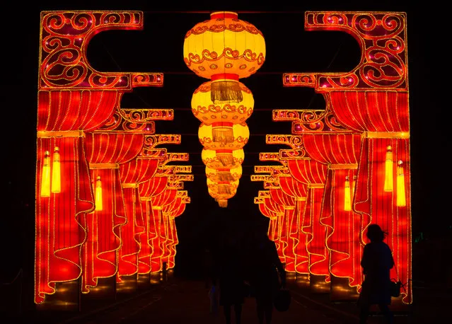 Visitors to the Festival Of Light VIP preview evening pass illuminated artworks displayed in the grounds at Longleat on November 12, 2015 in Wiltshire, England. (Photo by Matt Cardy/Getty Images for Longleat)