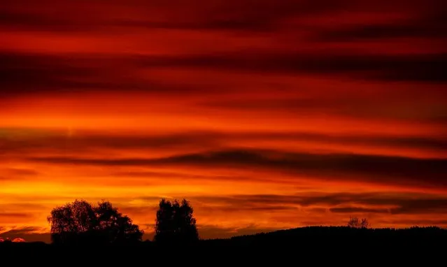 Trees and the mountains of the lake Tegernsee area are silhouetted against the dawn sky in Warngau, southern Germany, November 6, 2015. (Photo by Michael Dalder/Reuters)