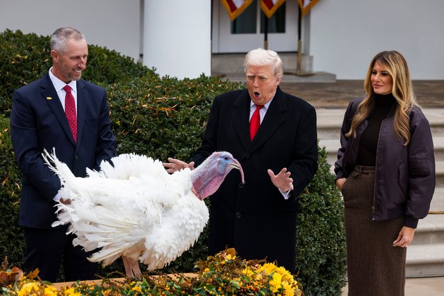 US President Donald Trump (C) pardons a turkey named Gobble while and First Lady Melania Trump (R) looks on in the Rose Garden of the White House in Washington, DC, USA, 25 November 2025. The annual White House tradition of pardoning a Thanksgiving turkey dates back to 1989, when President George H.W. Bush pardoned a turkey in the Rose Garden. (Photo by Jim LoScalzo/Rex Features/Shutterstock)