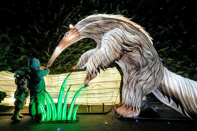 Visitors stand before an illuminated animal fantasy figure installation, one of many displayed across the Cologne Zoo as part of the China Lights Art Festival, in Cologne, Germany, Friday, December 20, 2024. (Photo by Martin Meissner/AP Photo)