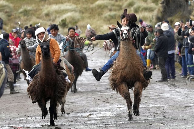 Children compete in the annual llama races that commemorate “World Wetlands Day” in Ecuador's Llanganates National Park, Saturday, February 1, 2025. (Photo by Dolores Ochoa/AP Photo)