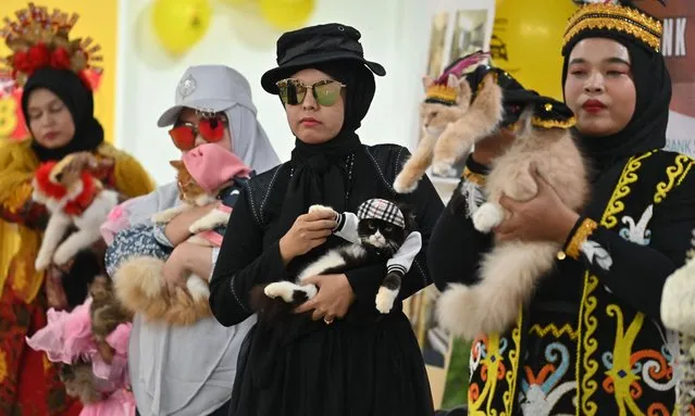 Dressed cats are held by their owners as they participate in the Cat Fashion Week held at a shopping mall in Banda Aceh, northern Indonesia, on August 12, 2023. (Photo by Chaideer Mahyuddin/AFP Photo)