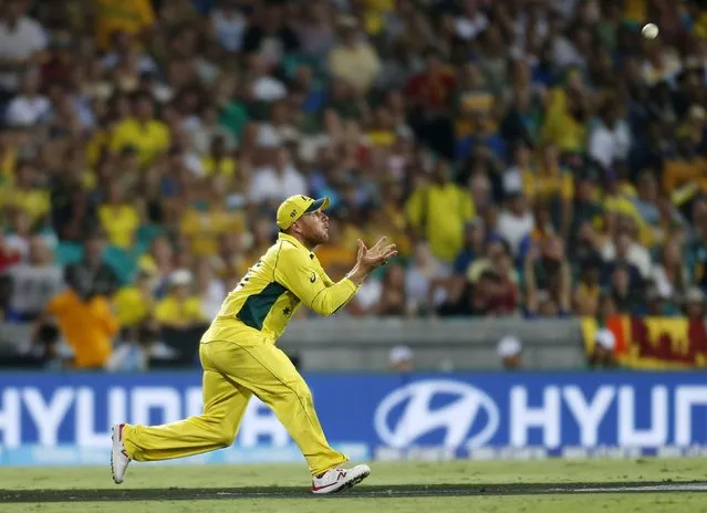 Australia's Aaron Finch lines up a catch to take the wicket of Sri Lanka's Kumar Sangakkara during their Cricket World Cup match in Sydney, March 8, 2015.    REUTERS/Jason Reed (AUSTRALIA - Tags: SPORT CRICKET TPX IMAGES OF THE DAY)