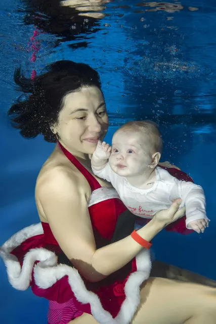 Mama and little girl dressed as Santa floats under water in the pool on December 15, 2016 in Odessa, Ukraine. (Photo by Andrey Nekrasov/Barcroft Images)