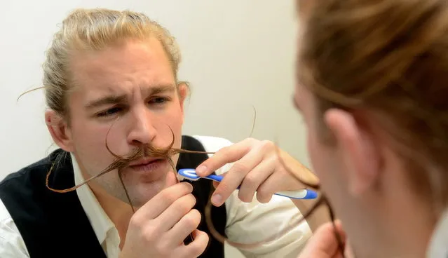 Felix Hammoser uses a toothbrush to style his beard as he prepares for the Beard World Championships on November 2, 2013 in Leinfelden-Echterdingen, southern Germany. More than 200 competitors from over 20 countries will take part in the event. (Photo by Franziska Kraufmann/AFP Photo/DPA)