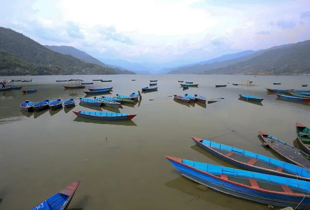 Line of empty boats lay at Phewa lake during general strike in Pokhara city, 205 Kilometers away from capital Kathmandu, Nepal, 07 April 2015. Major cities and towns across Nepal were affected as a three-day general strike called by the 30-party opposition alliance took effect on 07 April 2015, in a protest over the drafting of a new constitution. Markets, schools, transportation and tourism were badly affected. (Photo by Narendra Shrestha/EPA)