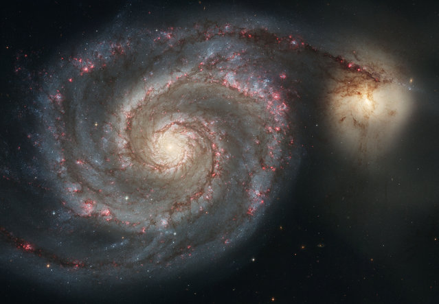 This January 2005 image made by the NASA/ESA Hubble Space Telescope shows the Whirlpool Galaxy (M51) and a companion galaxy. The Whirlpool's two curving arms are star-formation factories, compressing hydrogen gas and creating clusters of new stars. (Photo by NASA, ESA, S. Beckwith (STScI), Hubble Heritage Team STS via AP Photo)