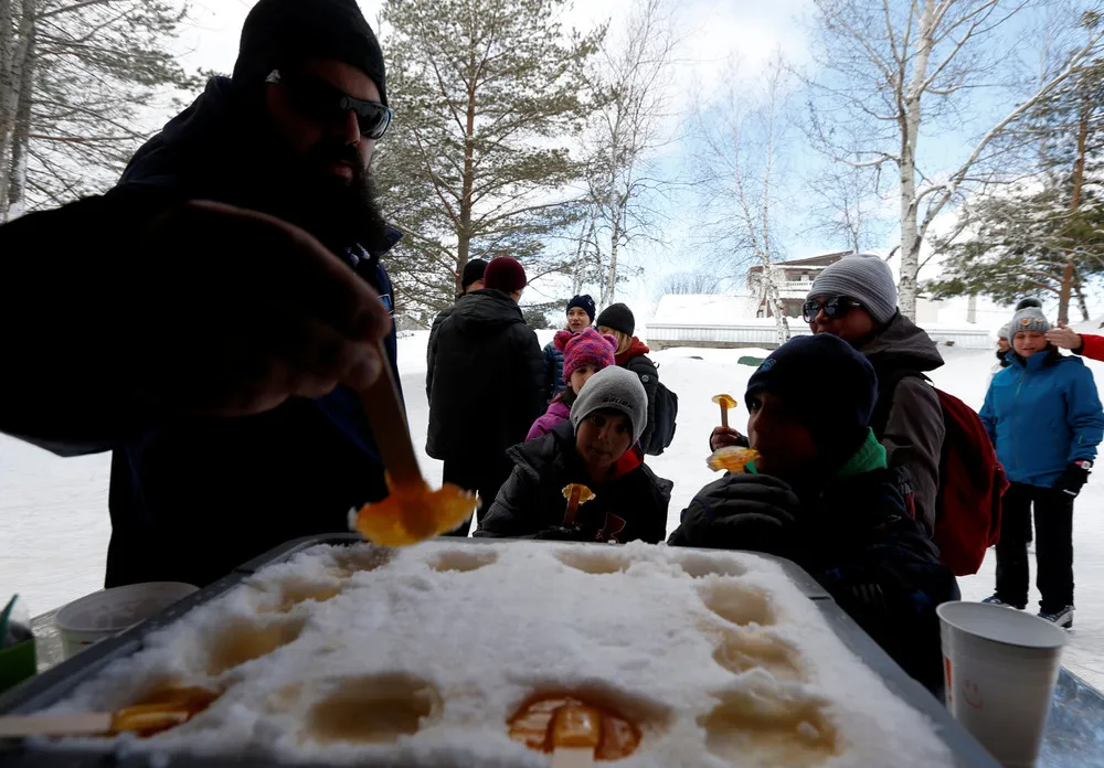 Skating through the Lost Forest