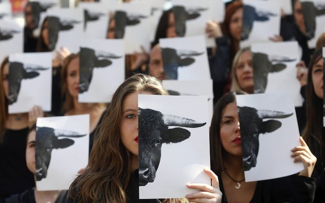 Activists cover part of their faces with a picture of a bull as they protest against bullfighting at Celanova in Ourense, Spain, on 12 March 2016. Activists protested against the bullfight fair of the Fallas in Valencia. (Photo by Brais Lorenzo/EPA)