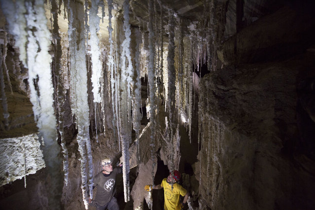 In this Wednesday, March 27, 2019 photo, Yoav Negev, and Boaz Langford, researchers at the Israel Cave Research Center of the Hebrew University of Jerusalem, examine salt stalactites hanging from the ceiling in the Malham Cave at the Dead Sea in Israel. Israeli researchers say they believe this to be the world’s longest salt cave, a network of twisting passageways at the southern tip of the Dead Sea. (Photo by Ariel Schalit/AP Photo)