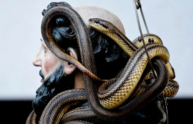 A statue of Saint Domenico covered with live snakes is carried by faithfuls during an annual procession in the streets of Cocullo, a small village in the Abruzzo region, on May 1, 2019. (Photo by Filippo Monteforte/AFP Photo)