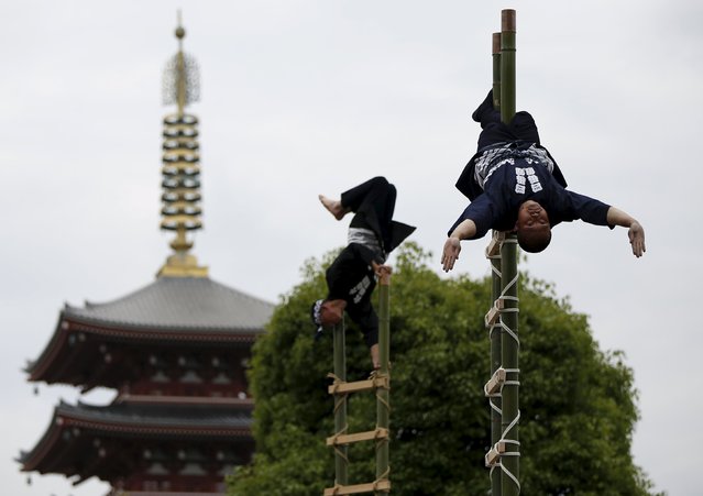 Men wearing costume of traditional firefighters perform acrobatic stunts atop a bamboo ladder following a memorial service for firefighters at Sensoji temple in Tokyo's downtown of Asakusa May 25, 2015. (Photo by Issei Kato/Reuters)