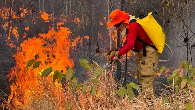 A firefighter extinguishes a fire in the municipality of Canta, Roraima state, Brazil, on February 29, 2024. (Photo by Alan Chaves/AFP Photo)