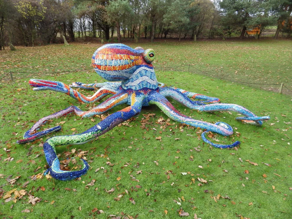 Octopus by Marialuisa Tadei