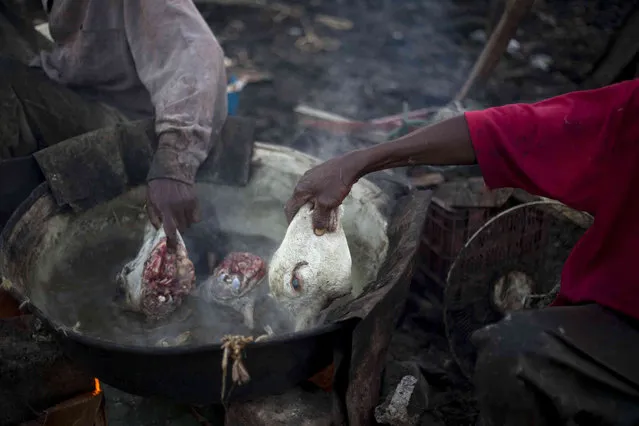 In this January 4, 2013, file photo, slaughterhouse employees remove the heads of goats from a vat of boiling water at La Saline market in Port-au-Prince, Haiti. The United Nations cultural agency has on Thursday,  December 16, 2021 inscribed a traditional Haitian soup recipe that was cooked by African slaves for their owners on the prized intangible cultural heritage list. Joumou soup is “so much more than just a dish”, said Audrey Azoulay, the director-general of UNESCO. “It tells the story of the heroes and heroines of Haitian independence, their struggle for human rights and their hard-won freedom”. (Photo by Dieu Nalio Chery/AP Photo)