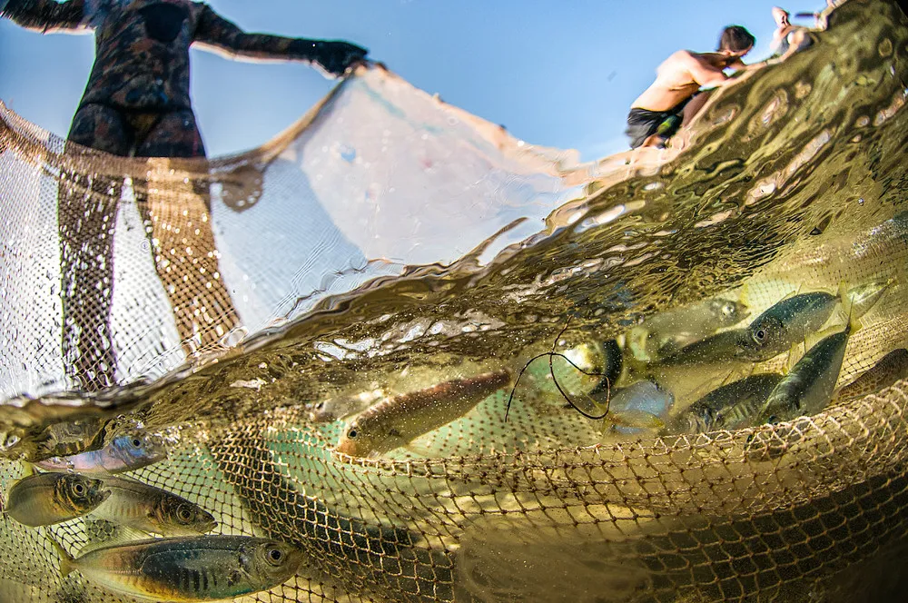 2014 National Geographic Photo Contest, Week 7