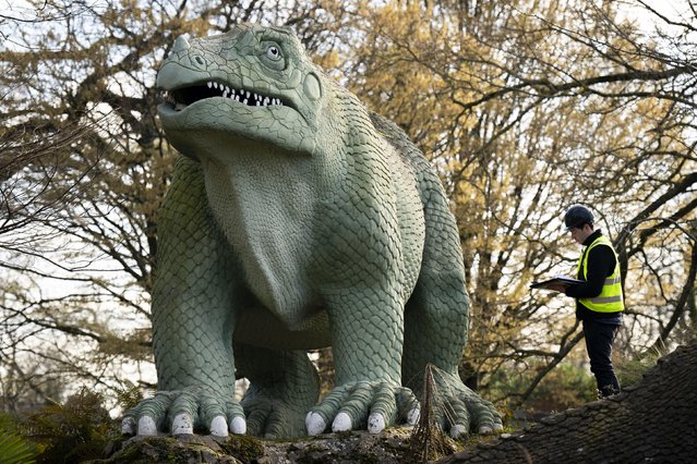 Tom Bardwell, Lead Conservator takes part in conservation work on the 170-year-old dinosaur that inhabit Dinosaur Island in Crystal Palace Park in south London on Monday, March 27, 2023. The National Lottery Heritage Fund has announced that the park will receive funding of almost £5 million which will advance the Park's Regeneration Plan, including restoration to the Tidal Lakes, a new dinosaur-themed playground and information centre. (Photo by Aaron Chown/PA Images via Getty Images)