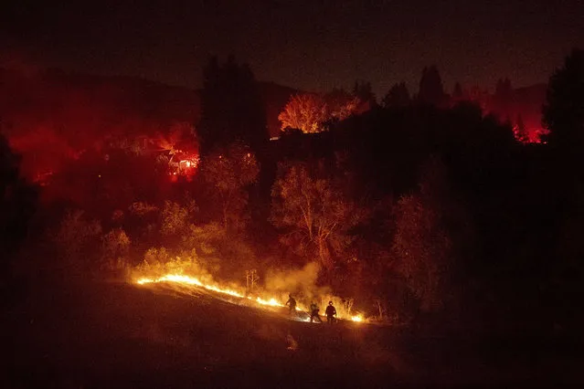 Firefighters work to contain a wildfire burning off Merrill Dr. in Moraga, Calif., on Thursday, October 10, 2019. Police have ordered evacuations as the fast-moving wildfire spread in the hills of the San Francisco Bay Area community. The area is without power after Pacific Gas & Electric preemptively cut service hoping to prevent wildfires during dry, windy conditions throughout Northern California. (Photo by Noah Berger/AP Photo)